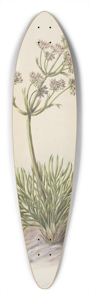 Sarah Featon - Wild Spaniard 39.3 inch art pintail longboard deck