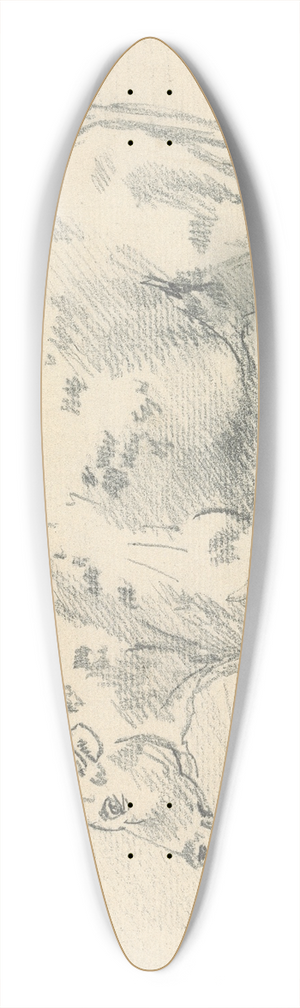 Sawrey Gilpin - Cow 39.3 inch art pintail longboard deck