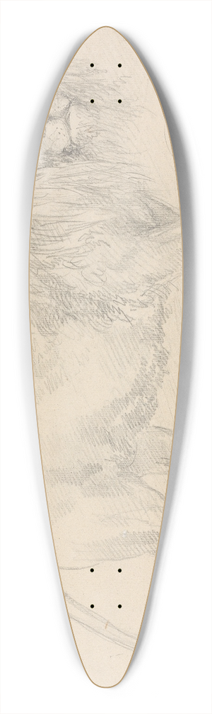Sawrey Gilpin - Lion Walking 39.3 inch art pintail longboard deck