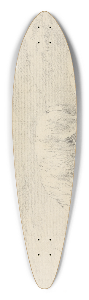 Sawrey Gilpin - Two Sheep 39.3 inch art pintail longboard deck