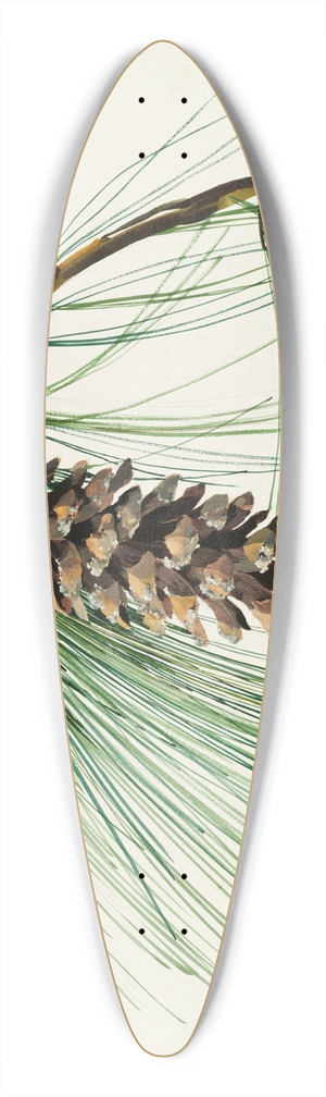 Sergey Chekhonin - A pine cone spray 39.3 inch art pintail longboard deck