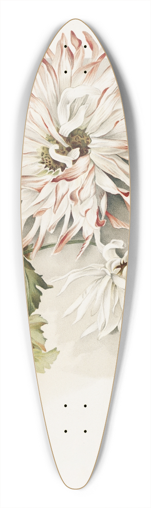 Sidney Thomas Callowhill - Chrysanthemums 39.3 inch art pintail longboard deck
