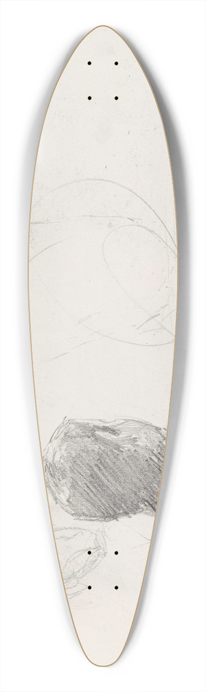 Signe Scheel - Mann sett bakfra 39.3 inch art pintail longboard deck