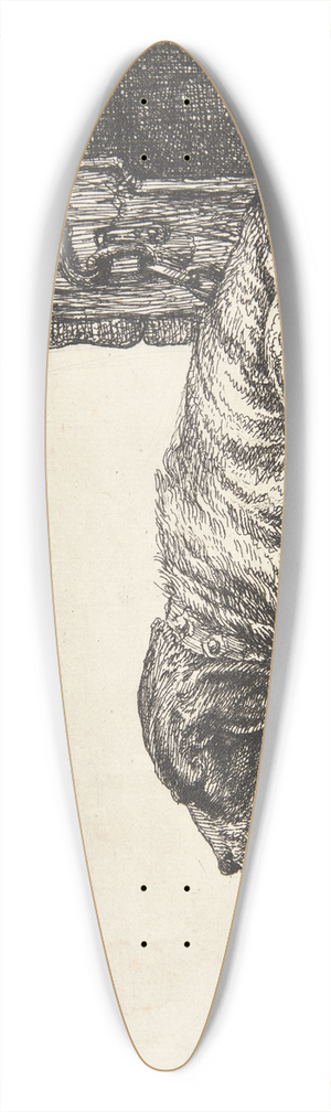 Simon de Vlieger - Lnkehund 39.3 inch art pintail longboard deck