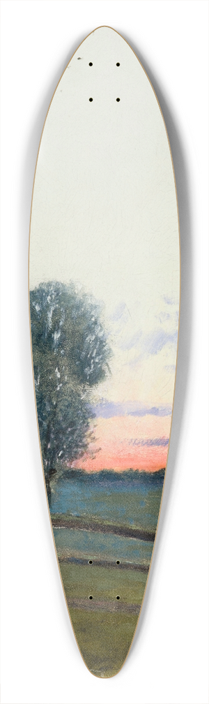 Stefan Popowski - Landscape 39.3 inch art pintail longboard deck
