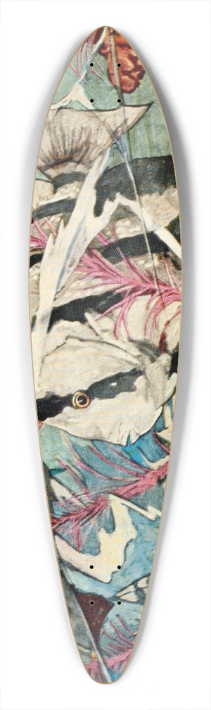 Stephen Haweis - Atlantic Spadefish 39.3 inch art pintail longboard deck