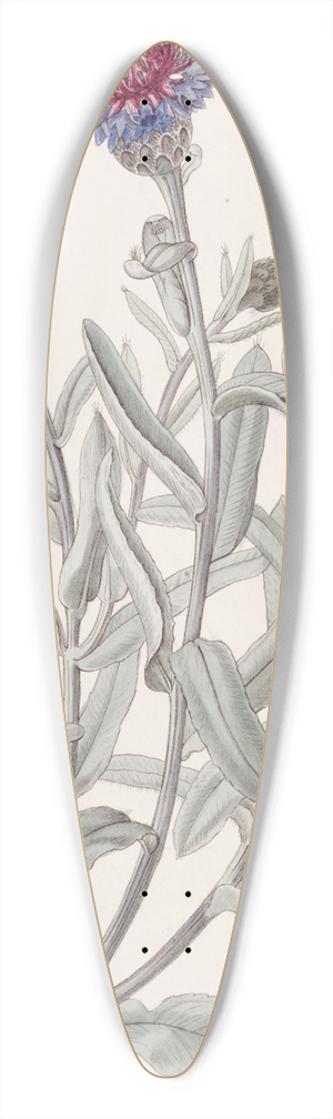 Sydenham Edwards - Beautiful Blue Bottle 39.3 inch art pintail longboard deck