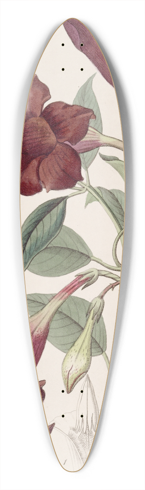 Sydenham Edwards - Dark-purple Echites 39.3 inch art pintail longboard deck
