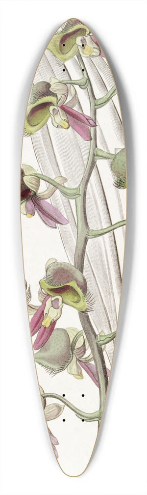 Sydenham Edwards - Dingy Monk-flower 39.3 inch art pintail longboard deck