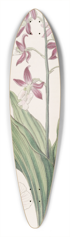 Sydenham Edwards - Discoloured Fairbloom 39.3 inch art pintail longboard deck