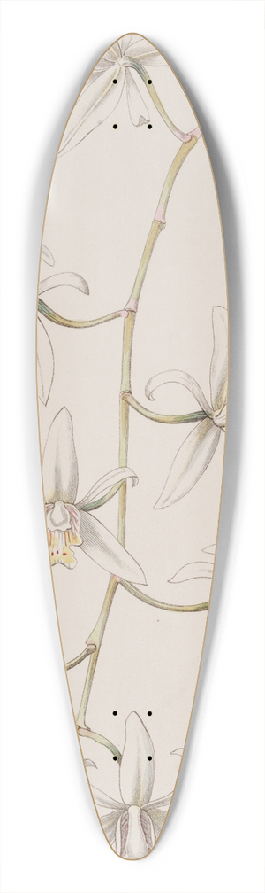 Sydenham Edwards - Drooping Caelogyne 39.3 inch art pintail longboard deck
