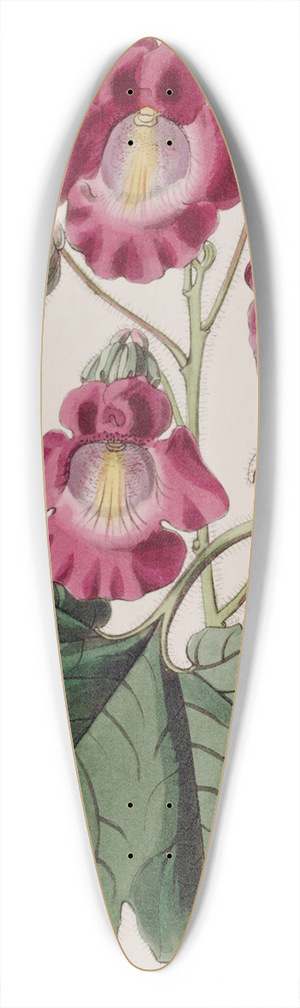 Sydenham Edwards - Fragrant Martynia 39.3 inch art pintail longboard deck
