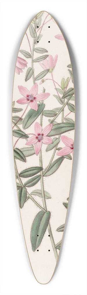 Sydenham Edwards - Hairy Tetratheca 39.3 inch art pintail longboard deck