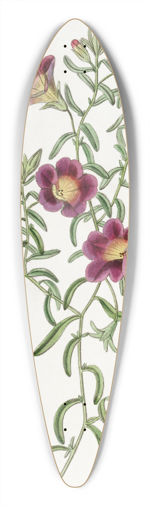 Sydenham Edwards - Intermediate Petunia 39.3 inch art pintail longboard deck