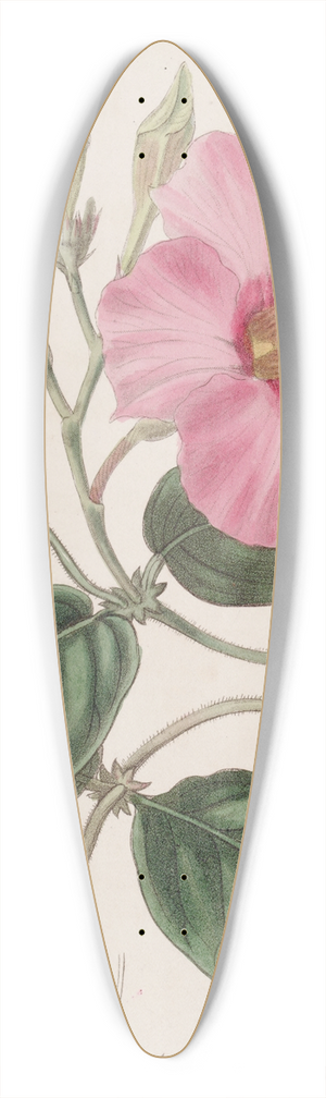 Sydenham Edwards - Knob-jointed Dipladenia 39.3 inch art pintail longboard deck
