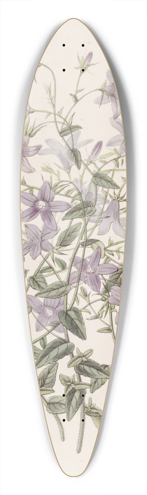 Sydenham Edwards - Laeflings Bellflower 39.3 inch art pintail longboard deck