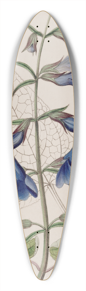 Sydenham Edwards - Large Blue Mexican Sage 39.3 inch art pintail longboard deck