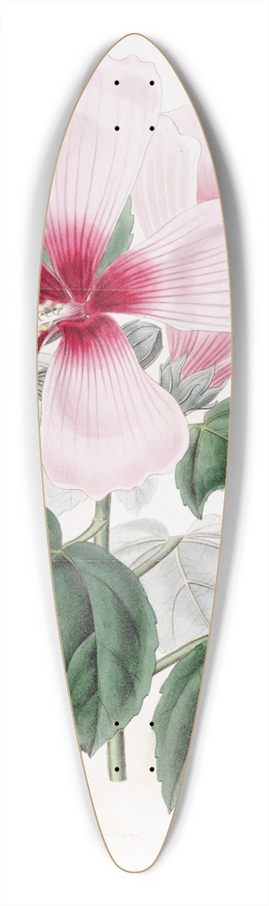 Sydenham Edwards - Marsh Hibiscus 39.3 inch art pintail longboard deck