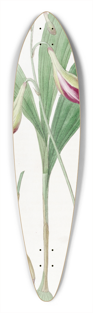 Sydenham Edwards - Pink-flowered Crybe 39.3 inch art pintail longboard deck