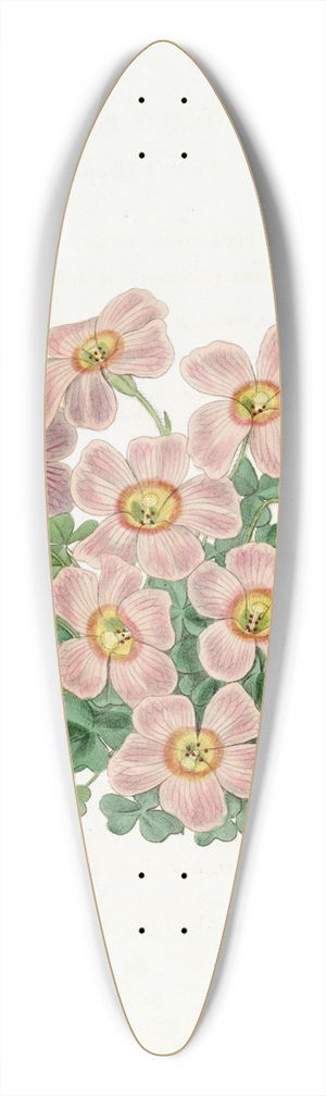 Sydenham Edwards - Piottas Oxalis 39.3 inch art pintail longboard deck