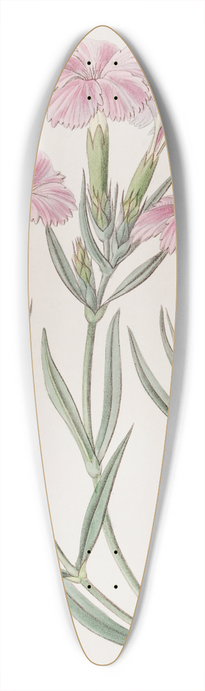Sydenham Edwards - Prince Bisignanos Tree Pink 39.3 inch art pintail longboard deck