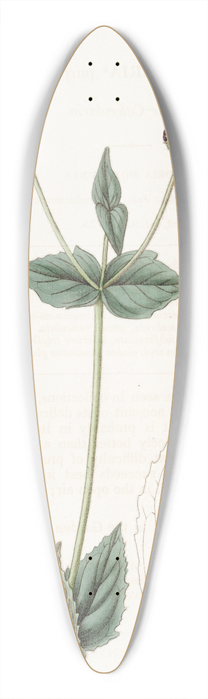 Sydenham Edwards - Purple Calceolaria 39.3 inch art pintail longboard deck