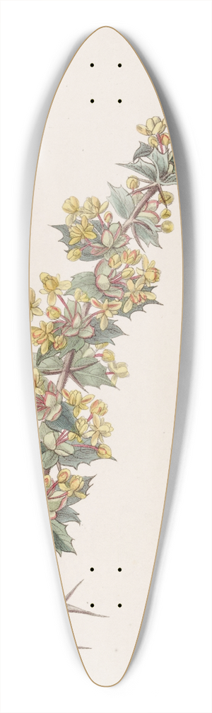 Sydenham Edwards - Ray-spined Berberry 39.3 inch art pintail longboard deck