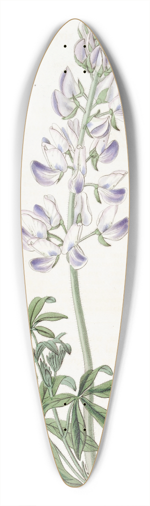 Sydenham Edwards - River Lupine 39.3 inch art pintail longboard deck