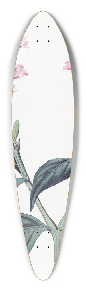 Sydenham Edwards - Square-stalked Justicia 39.3 inch art pintail longboard deck