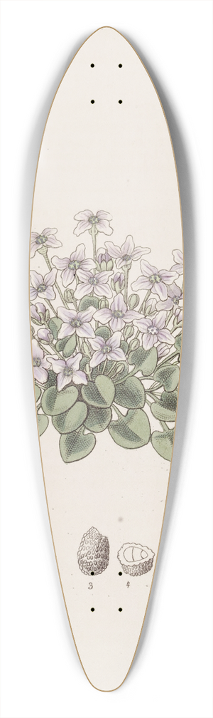 Sydenham Edwards - Stemless Violet-Cress 39.3 inch art pintail longboard deck