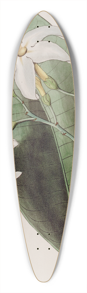 Sydenham Edwards - The Forked Tabernaemontana 39.3 inch art pintail longboard deck
