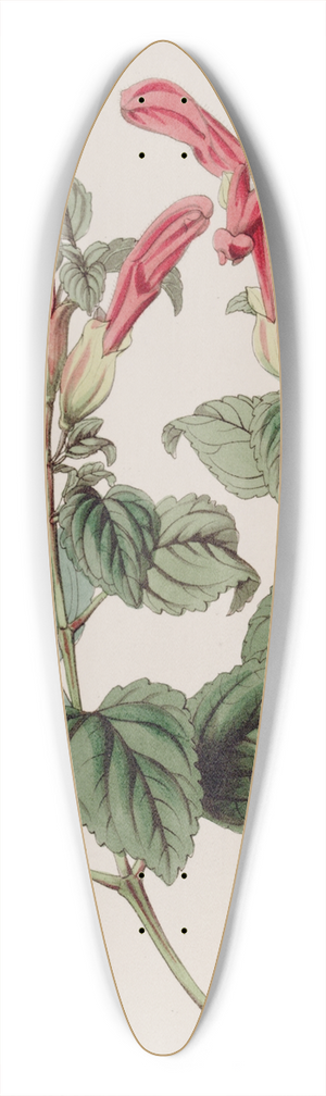 Sydenham Edwards - The Regla Sage 39.3 inch art pintail longboard deck