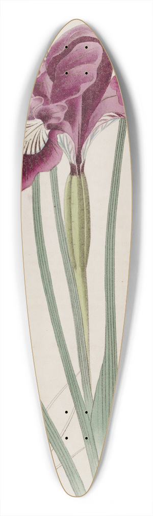 Sydenham Edwards - Though-threaded iris 39.3 inch art pintail longboard deck