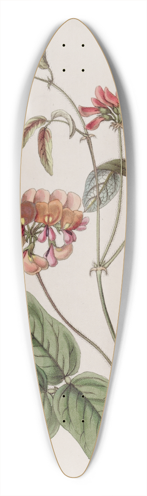 Sydenham Edwards - Three-coloured Zichya 39.3 inch art pintail longboard deck