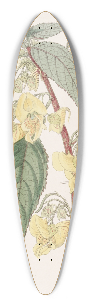 Sydenham Edwards - Three-horned Balsam 39.3 inch art pintail longboard deck