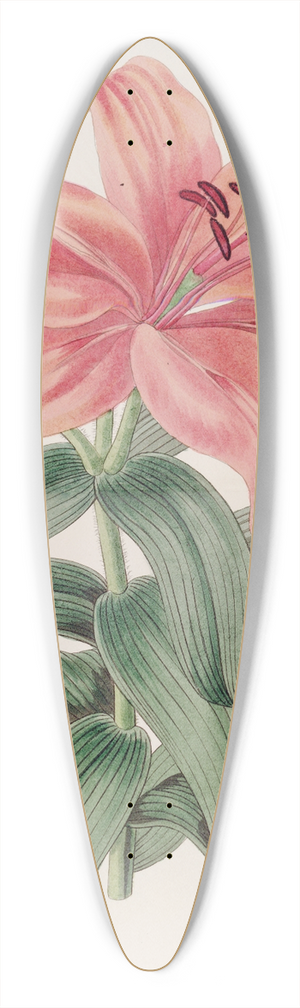 Sydenham Edwards - Thunbergs Orange Lily 39.3 inch art pintail longboard deck