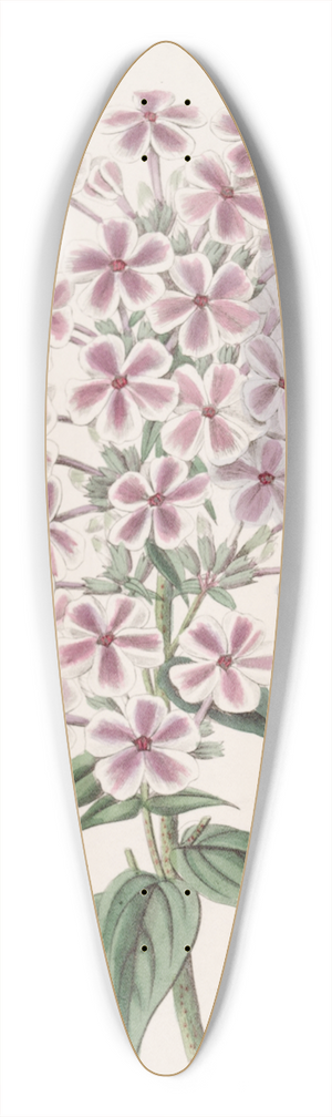 Sydenham Edwards - Van Houttes Phlox 39.3 inch art pintail longboard deck