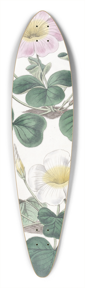 Sydenham Edwards - Variable Oxalis 39.3 inch art pintail longboard deck