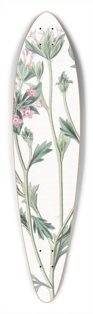 Sydenham Edwards - Various-leaved Collomia 39.3 inch art pintail longboard deck