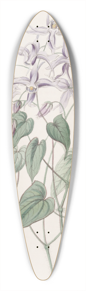 Sydenham Edwards - Violet Epimedium 39.3 inch art pintail longboard deck