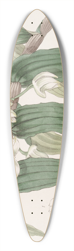 Sydenham Edwards - Watery Dendrobium 39.3 inch art pintail longboard deck