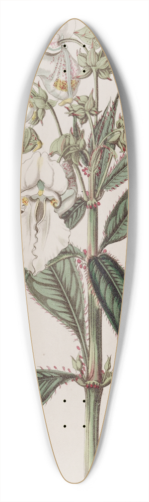 Sydenham Edwards - White Balsam 39.3 inch art pintail longboard deck