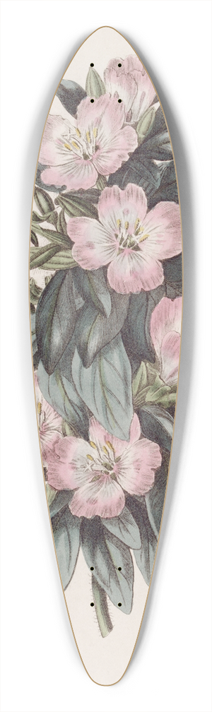 Sydenham Edwards - Whitish Godetia 39.3 inch art pintail longboard deck