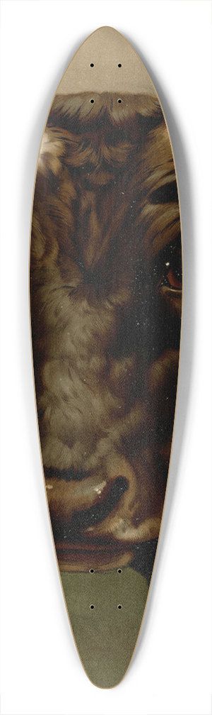 Thaddeus Welch - Bulls head 39.3 inch art pintail longboard deck