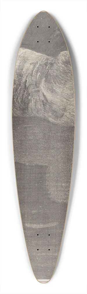 Theo van Hoytema - Drijvende eend 39.3 inch art pintail longboard deck