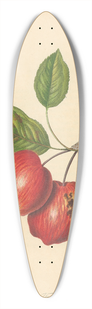 Thomas Andrew Knight - Foxwhelp 39.3 inch art pintail longboard deck