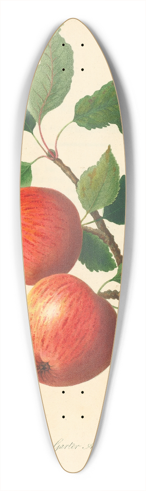 Thomas Andrew Knight - Garter Apple 39.3 inch art pintail longboard deck