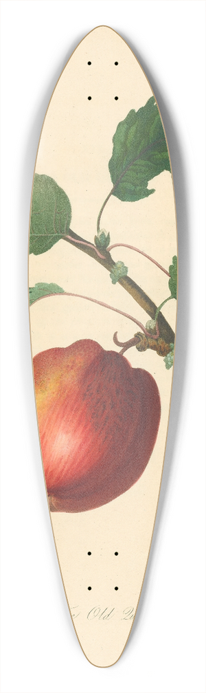 Thomas Andrew Knight - Old Quining 39.3 inch art pintail longboard deck