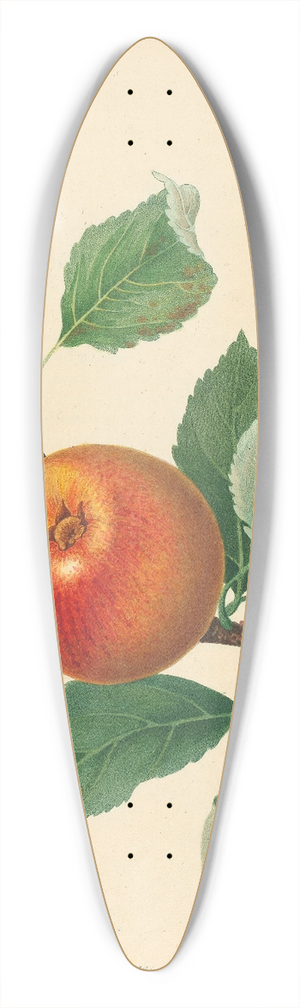 Thomas Andrew Knight - Orange Pippin 39.3 inch art pintail longboard deck