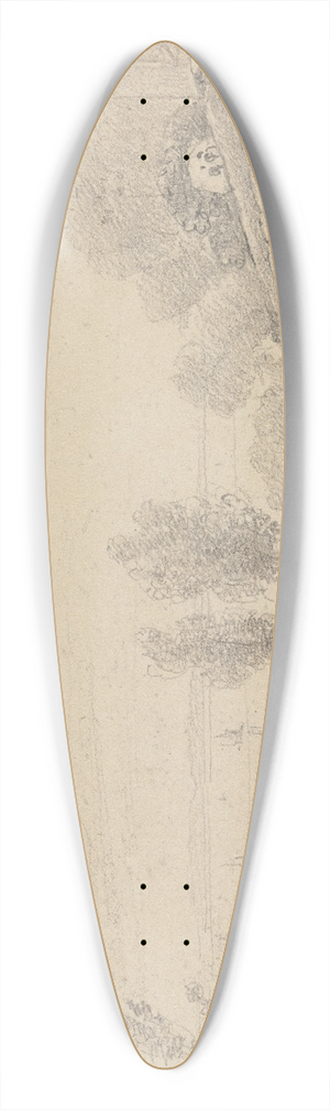 Thomas Hastings - West Cowes 39.3 inch art pintail longboard deck